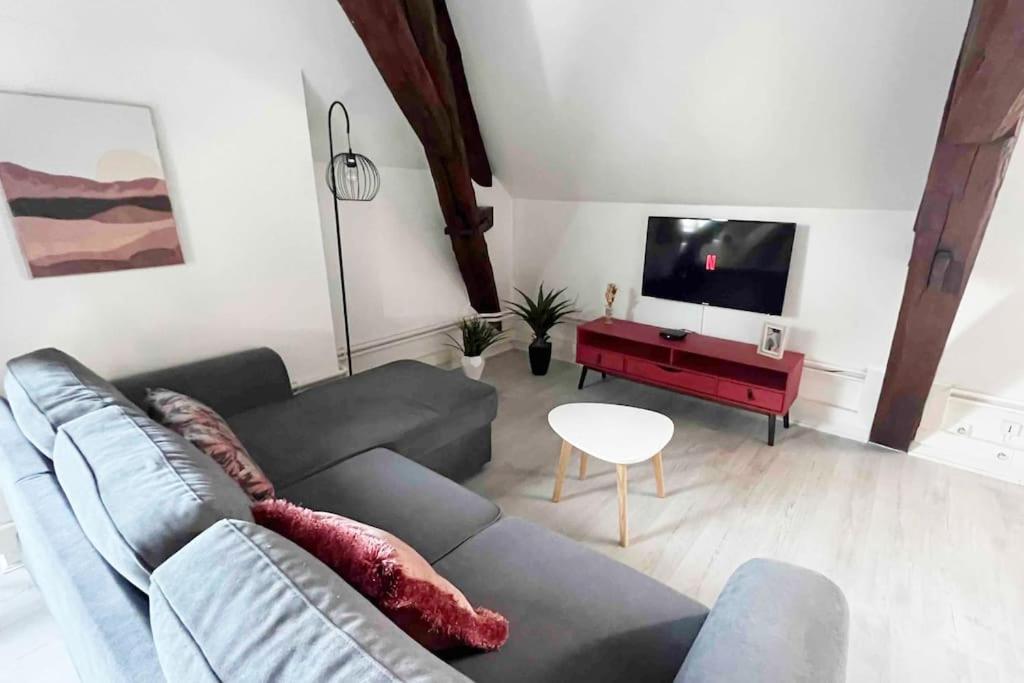 Charme Plein Coeur Auxerre - Parking Prive Apartment Bagian luar foto