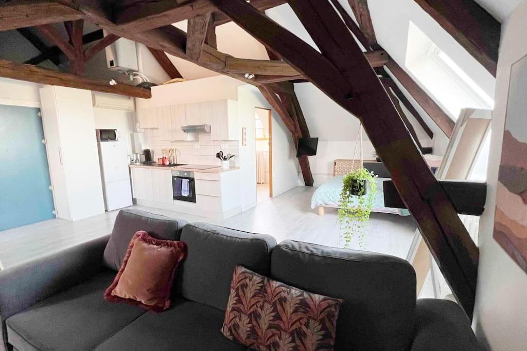 Charme Plein Coeur Auxerre - Parking Prive Apartment Bagian luar foto