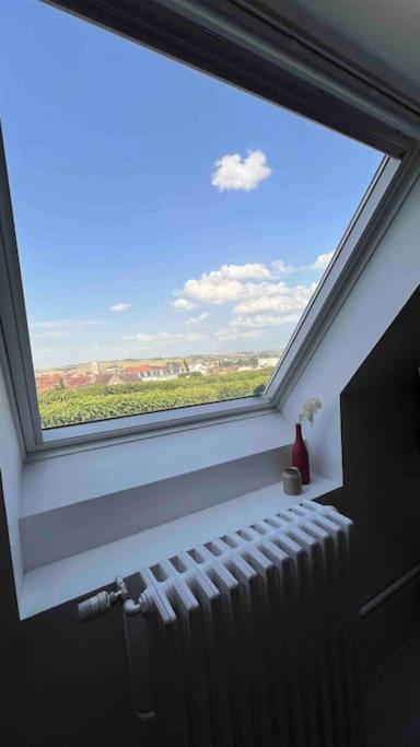 Charme Plein Coeur Auxerre - Parking Prive Apartment Bagian luar foto